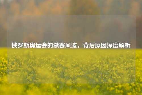 俄罗斯奥运会的禁赛风波，背后原因深度解析