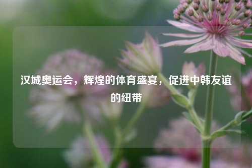 汉城奥运会，辉煌的体育盛宴，促进中韩友谊的纽带