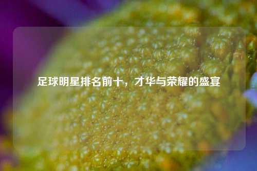 足球明星排名前十，才华与荣耀的盛宴