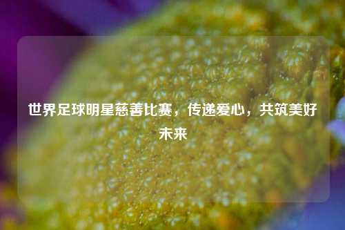 世界足球明星慈善比赛，传递爱心，共筑美好未来