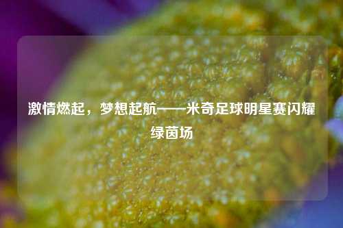 激情燃起，梦想起航——米奇足球明星赛闪耀绿茵场