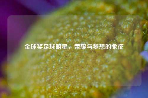 金球奖足球明星，荣耀与梦想的象征