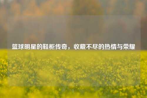 篮球明星的鞋柜传奇，收藏不尽的热情与荣耀