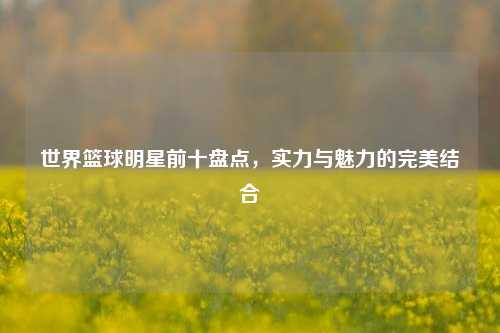 世界篮球明星前十盘点，实力与魅力的完美结合