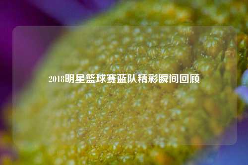 2018明星篮球赛蓝队精彩瞬间回顾